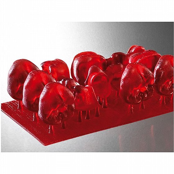 ��� ����-���� ������ ������ ������ 1 ��� Detax FREEPRINT� Cast 2.0 Resin Red Transparent  