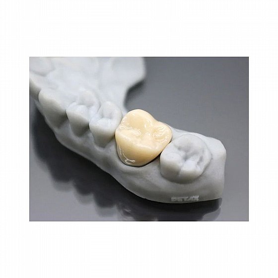 ��� �������� ������������� ������ ����� ������ 1 ��� Detax FREEPRINT� Temp 3D Printing Resin A1/A2  