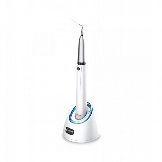 �������� ��������� ��������� ������ Woodpecker Endo 1