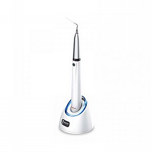 �������� ��������� ��������� ������ Woodpecker Endo 1