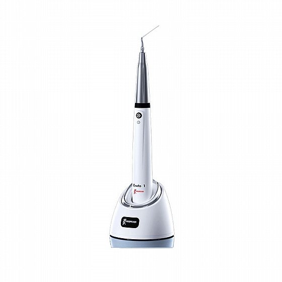 �������� ��������� ��������� ������ Woodpecker Endo 1