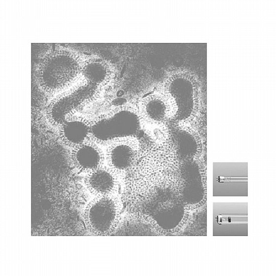 ����� ������ ������ ����� UV Light Air Recirculator Sterilization