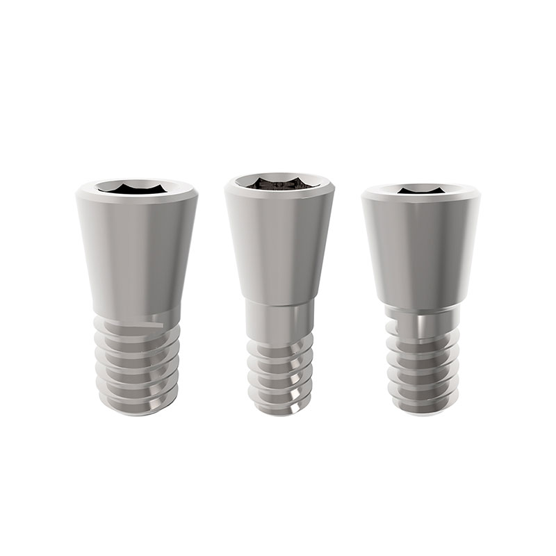 ����� ������ ���� �����������