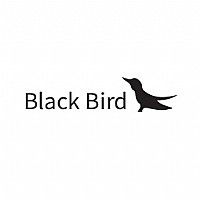 Blackbird