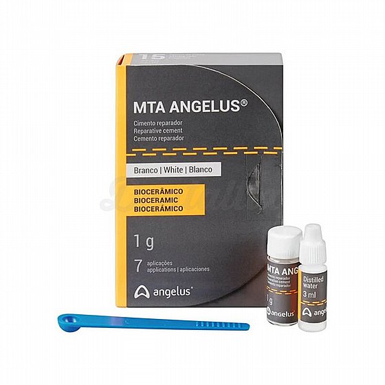 ��� ����� ��������� 1 ��� MTA �Angelus